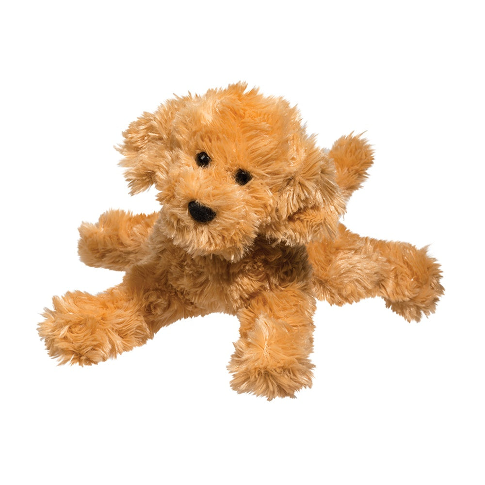 Douglas - Molasses Carmel Labradodle