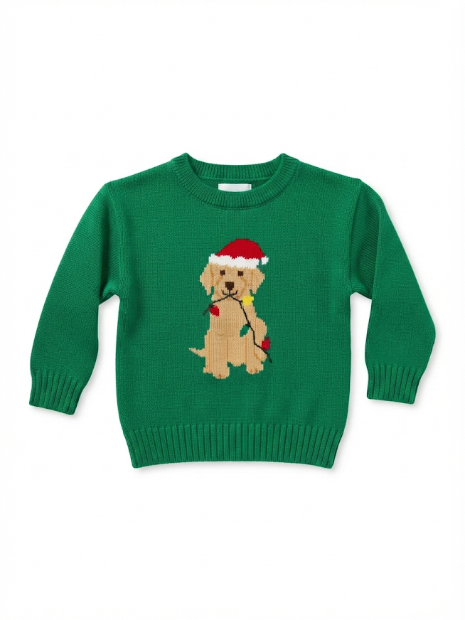 Bailey Boys - Boy's Christmas Lab Crewneck Sweater