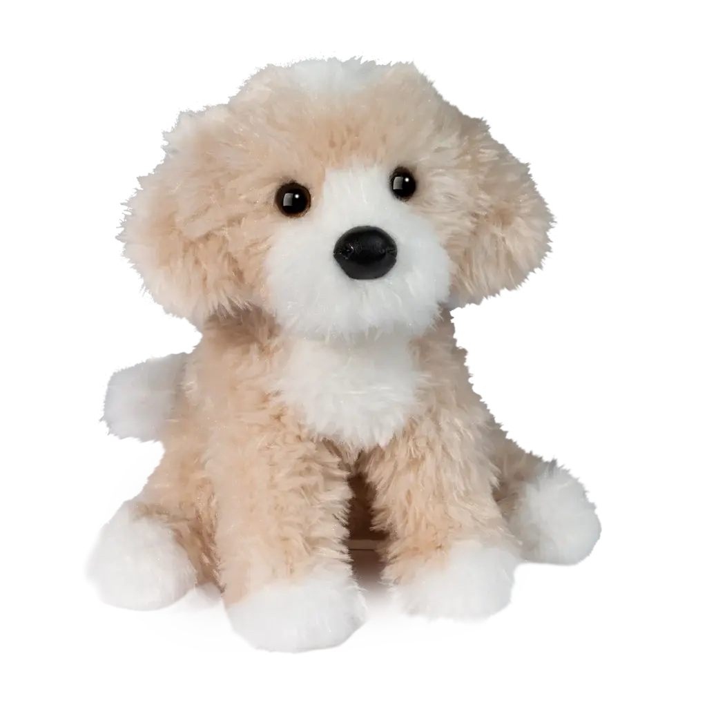 Douglas - Darcy Golden Doodle