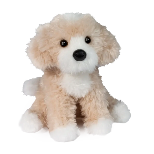 Douglas - Darcy Golden Doodle