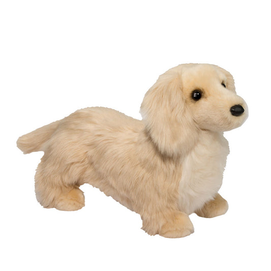 Douglas - Haisley Golden Dachshund