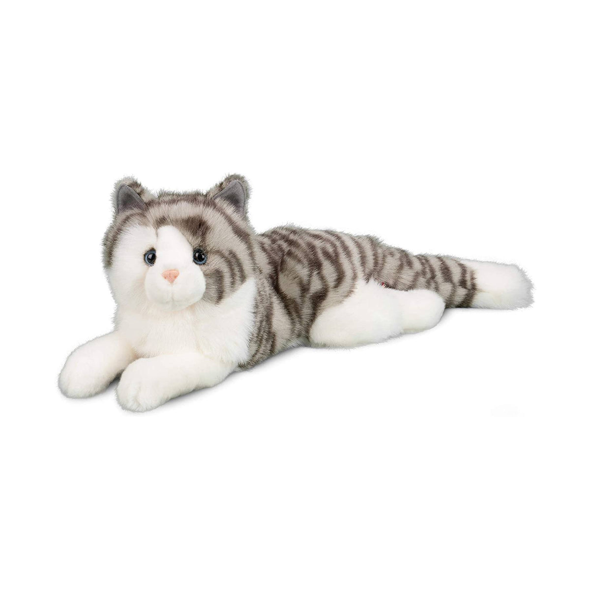 Douglas - Smokey Gray Cat