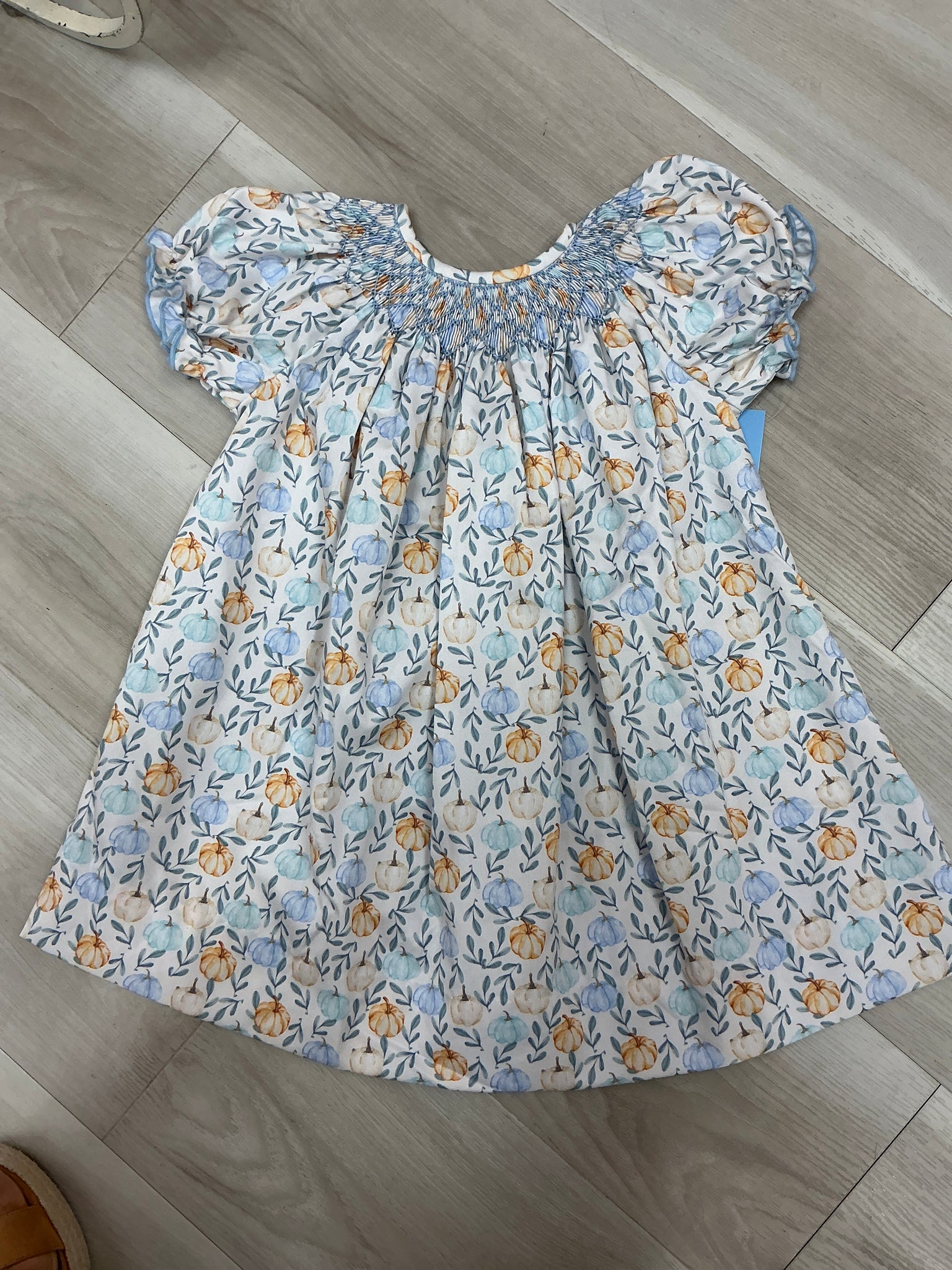 Charming Little One - pumpkin fall garden zoey dress